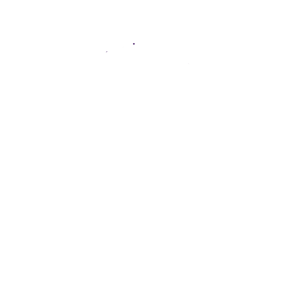 Logo South Media